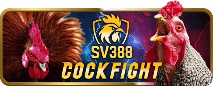 Ưu đãi cá cược thể thao KU77